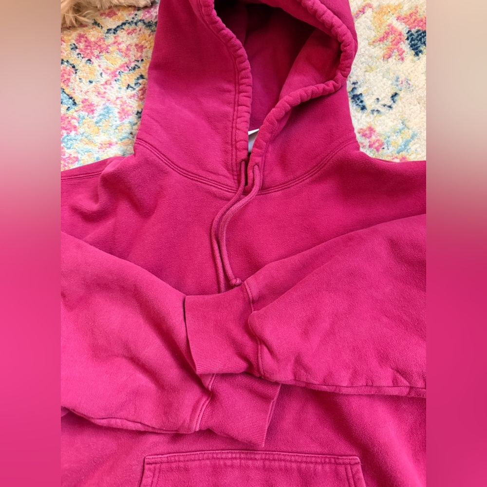 Aritzia Hoodie - Picture 5 of 6